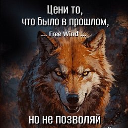 Vulf, ������, 43 ����