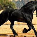 ���� �����, ����, 45 ��� - ��������� 10 ������ 2024 � ������ ���� ����������