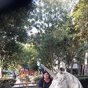 ���� 2025 �� ������� ���� ����������