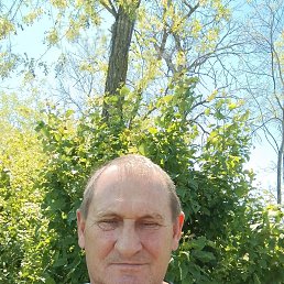 , 57, 