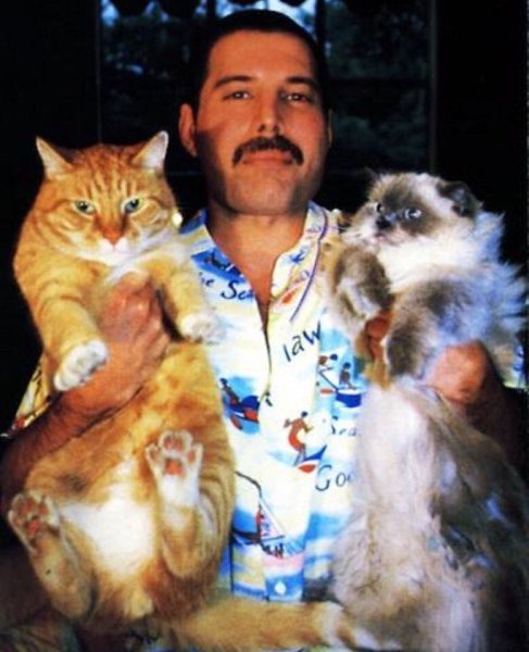 Freddie Mercury � ��� �����, ����� �� ������ ������� �� �������� ����� - 4