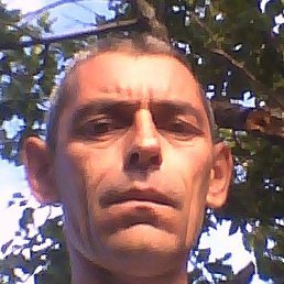,  , 51 
