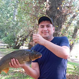 , 36, 