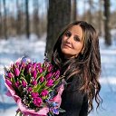 ���� Vera, ������, 64 ���� - ��������� 9 ������� 2025 � ������ ���� ����������