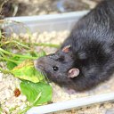 ���� �������, ������� - ��������� 18 ������ 2025 � ������ ������ ��������