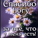 ���� ��������, ������, 44 ���� - ��������� 31 ����� 2026