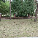 ���� ������, �����, 66 ��� - ��������� 29 ������ 2024 � ������ ���� ����������