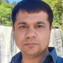 �����, ������������, 43 ����