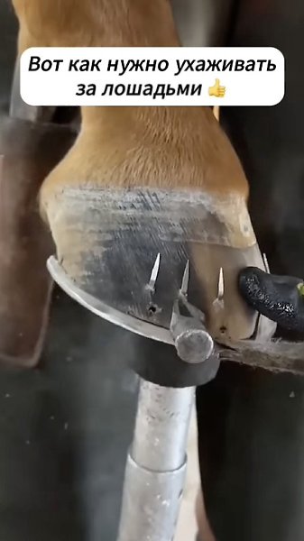 ��� ��� ���� ���� �����.��������