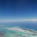 ���� �����, �������, 43 ���� - ��������� 29 ������ 2023 � ������ ���� ����������