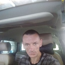 , 37, 
