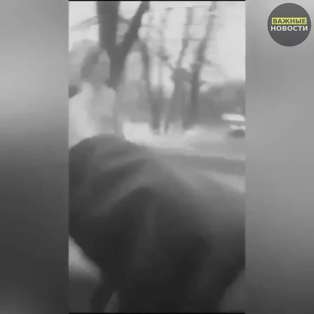 � �������� ��������� �������� ������ �� �������. ���� ����� �� ������� ��������� ������: ������� ...