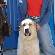 ����, 53 ����, ������������