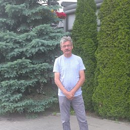 , 53 , 