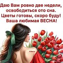 ���� ������ �������, �������, 67 ��� - ��������� 15 ������� 2024 � ������ ������ ��������