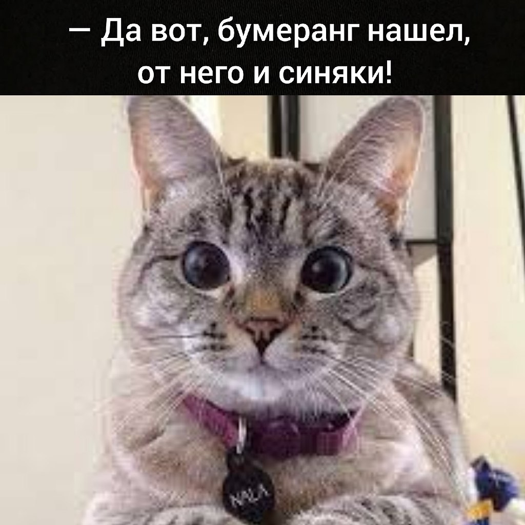 ��� ���� � ����� �� �� - 18 ��� 2026 � 16:55 - 2