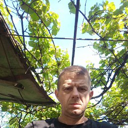  , 42 , 
