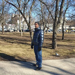 , 52, 