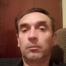 ��������, ������, 49 ���