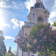 �����, 42 ����, ���������� �����