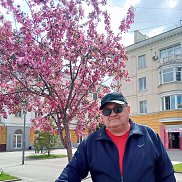 , 66 , 