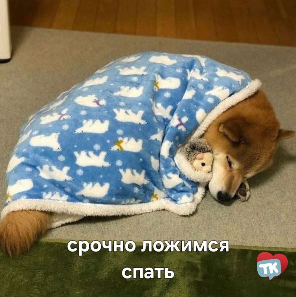      .      , ...