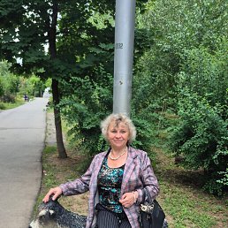 ���� ������, ��������, 68 ��� - ��������� 4 ������ 2026