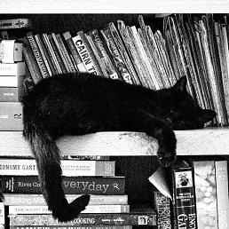 Hello, ������, 39 ���