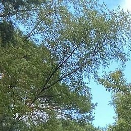 ��������, ������, 47 ���