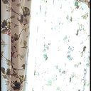 ���� �������, ����������, 43 ���� - ��������� 18 ������ 2026 � ������ ���� ����������