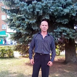, 55, 