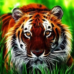 ���� ������, ��������, 40 ��� - ��������� 8 ���� 2024