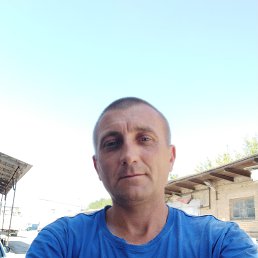 , 39, 