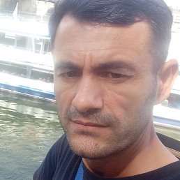 �����, �������, 37 ���