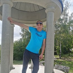 , 41,  