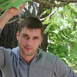 ���������, 39 ���, ���������