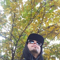 , 37, 