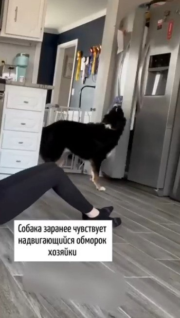    ,      ... - 2