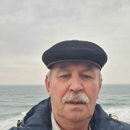 , 61, 