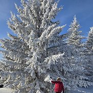 �������� �������, 61 ���, �������