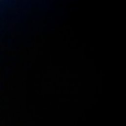 ���� Violeta, �������, 28 ��� - ��������� 13 ������� 2024