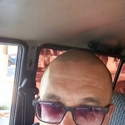 , 42, 
