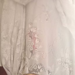 , 48, --