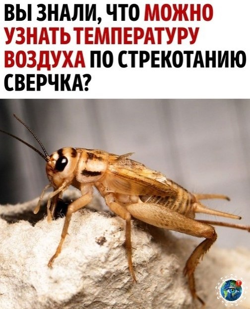 a, o oopo  e oaac!