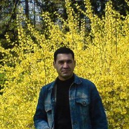 �����, �������, 59 ���