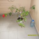 ���� �������, ����, 39 ��� - ��������� 5 ������� 2026 � ������ ���� ����������