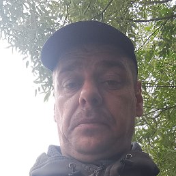 , 42, 