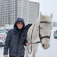 ������, 46 ���, ������