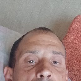, 33, 