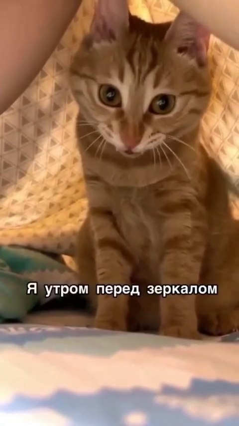   ,    !)